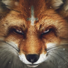 Руслан Дедиков, 12.03.1987, Одесса