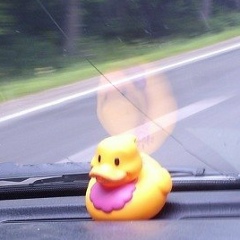 Сергей Чех, 10.06.1988, Санкт-Петербург