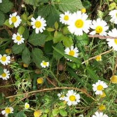 Alex Bao, 20.10.1986