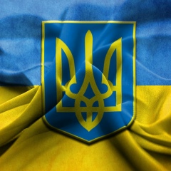 Александр Гарбовский, Киев