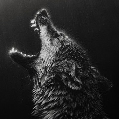 Андрей Литвин