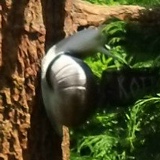 Милана Майорова, 17.07.1998, Камышин