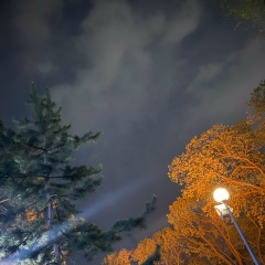 Beisen Emenov, 08.06.2000, Abu Dhabi