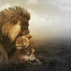 Иляшвой Буранов, 22.08.1991, Шымкент