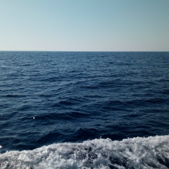 Юлия Юлия, 15.12, Волгоград