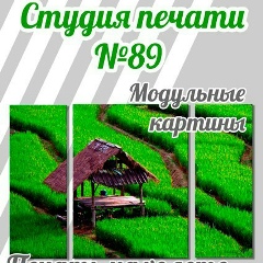 Сергей Майоров, Санкт-Петербург