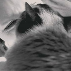 Елена Иванова, 23.12, Санкт-Петербург