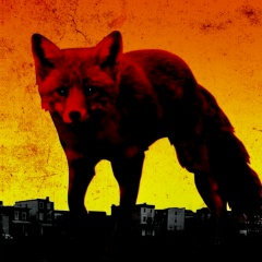 Роман Котельников, 05.04.1986, Москва