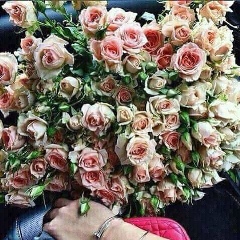 Лола Шарипова