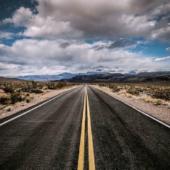 Алена Васнецова, Санкт-Петербург