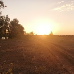 Сергей Вальковский