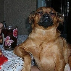 Александр Кошелев, 13.05, Пенза