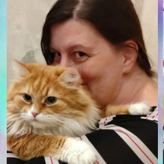 Анюткин Сафонова, 27.07, Санкт-Петербург