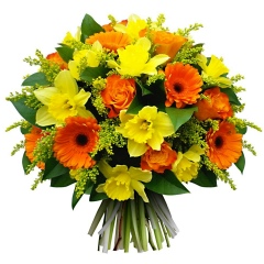 Анастасия Иванова