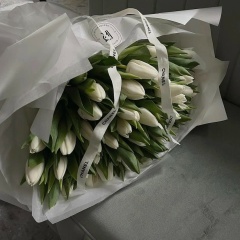 Мария Александровская, 15.10.1994, Алматы