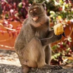 Алина Варнавская, 27.10, Москва