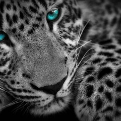 Ольга Михальченко, 05.01, Семей