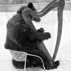 Игорь Кептине, Бельцы