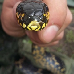 Александр Александр, 23.05, Владивосток