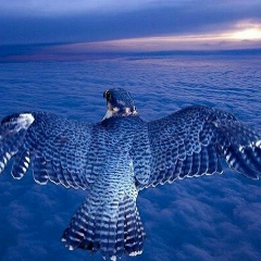 Асма Абдрахманова, 13.09.1983, Кызылорда