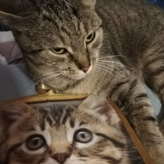 Ольга Бородулина, 21.04.1976, Санкт-Петербург