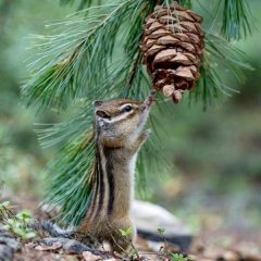 Анна Шевчук, Самара