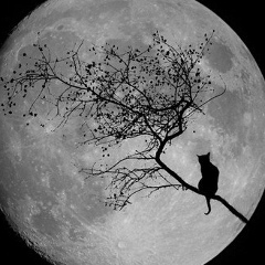 Александр Oooh, 19.09, Донецк