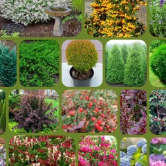 Наталия Беляева, 23.01