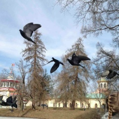 Софья Сундукова, 01.10.1999, Ставрополь