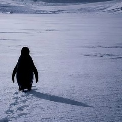 Юрий Костин, 30.05.1980, Волгореченск