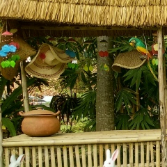 ေဇယ်ာ ေအာင္, 24.02.2004