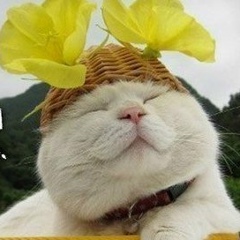 Екатерина Крижановская, 02.07.1984, Горишние Плавни / Комсомольск