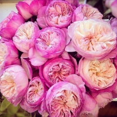 Vika Matveeva, 26.07, Киев