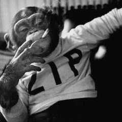 Islam Ibragimov, 23.03, Иваново