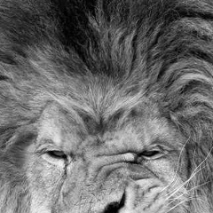 Alisher Mukashev, Астана