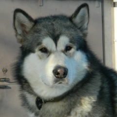 Виталий Анатольевич, 21.07.1962