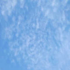 Василий Пестриков, 11.04.1988, Первомайский