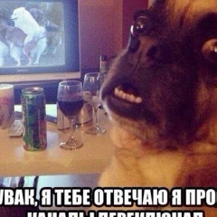 Антон Бондер