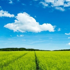 Юлия Чиникина, Киев