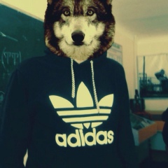 Марат Кадыров, 11.06.1995, Джалал-Абад