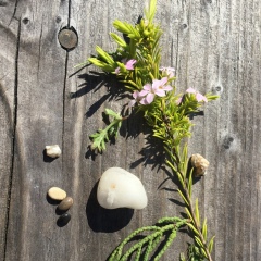 Мария Трофимова, 10.08.1987, Estes Park