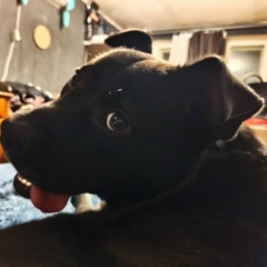 Павел Орденко