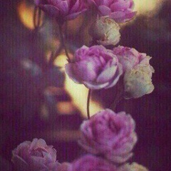 Аку Сатаева, 02.03.1998