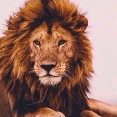 Алиба Турсынбек, 02.07.1907, Астана