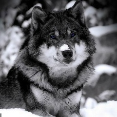 Роман Шуликов, 02.01.1998, Самара