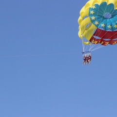 Галина Гончарова, 12.04.1986, Санкт-Петербург