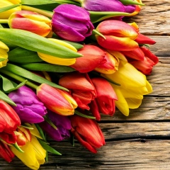 Анна Анна, 12.12.1983