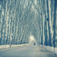 Улан Уланов, 09.03.1990, Бишкек