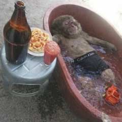 Alexey Kiselyov, 22.05, Самара