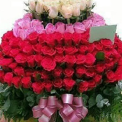 Софик*) __, 25.01, Пятигорск